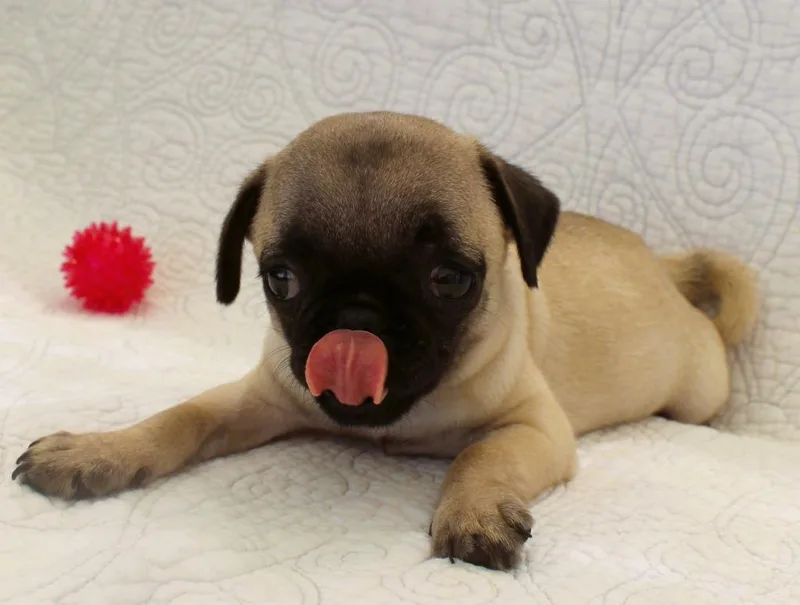 Kip special needs thumbnail 2