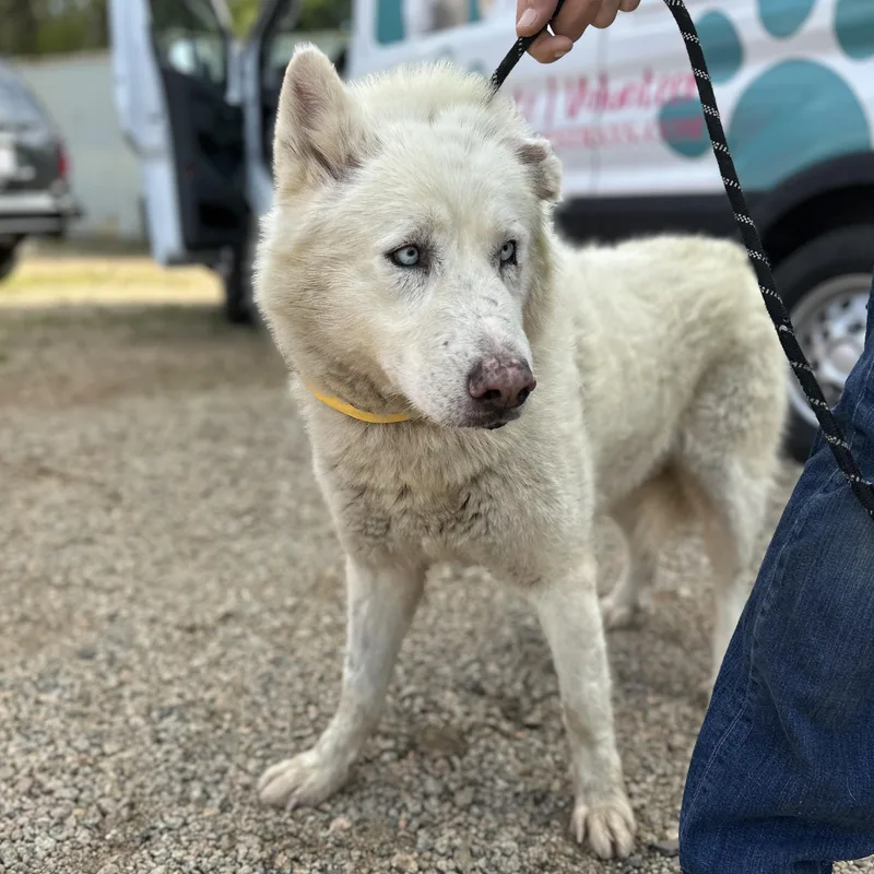 Salt Water thumbnail 2