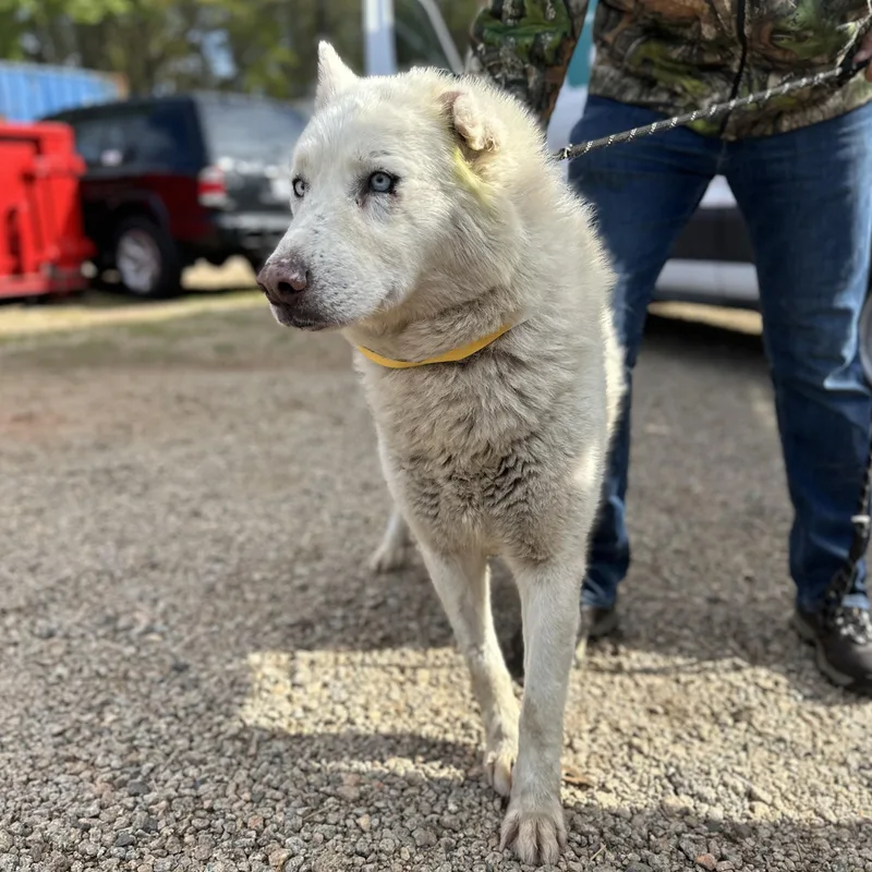 Salt Water thumbnail 3