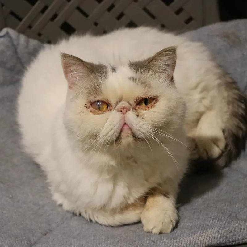 Rocky Balboa thumbnail 3