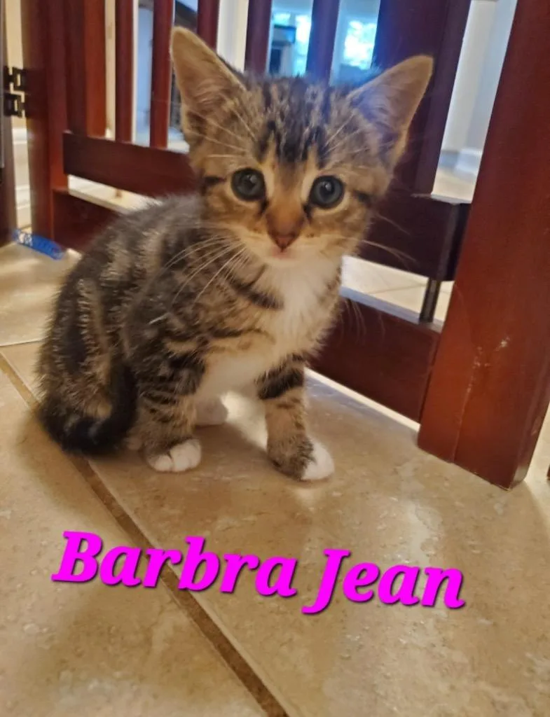Barbra Jean