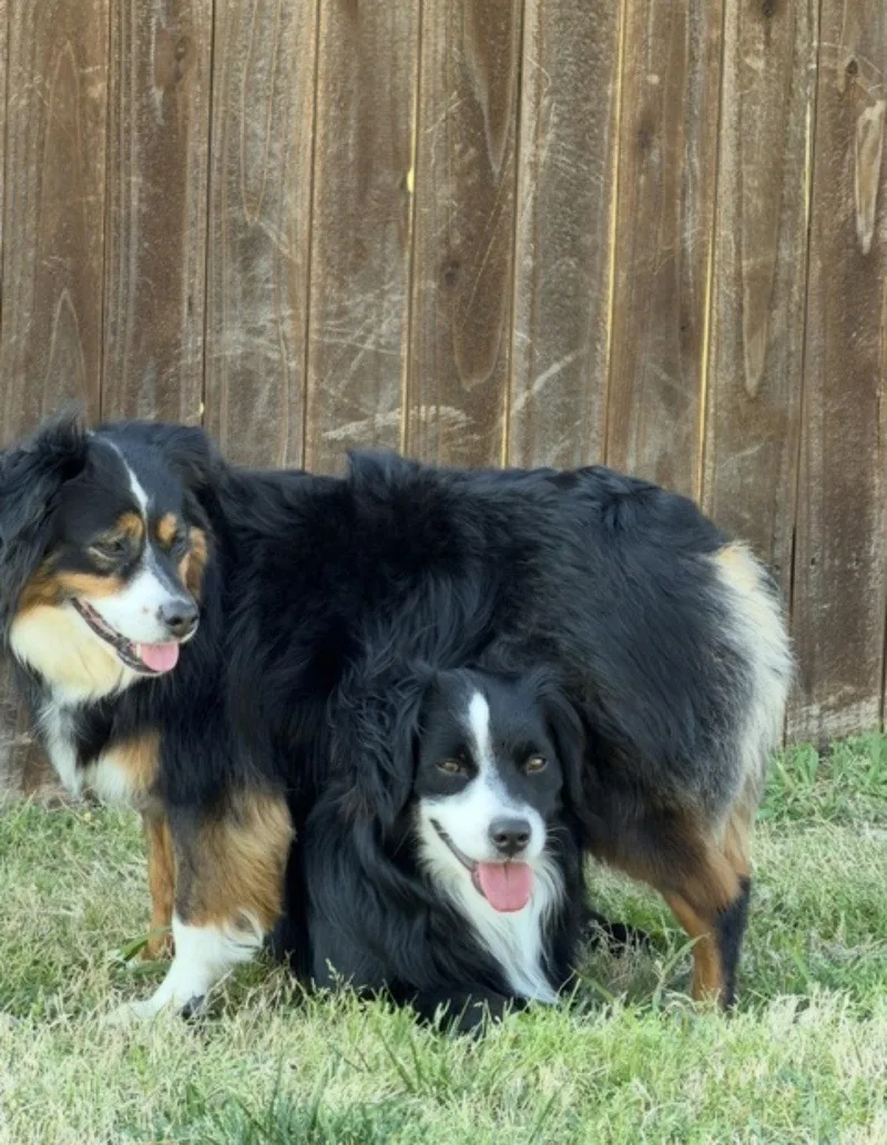 Rayna & Bruno thumbnail 2