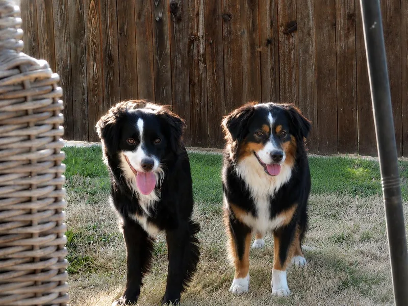 Rayna & Bruno thumbnail 3