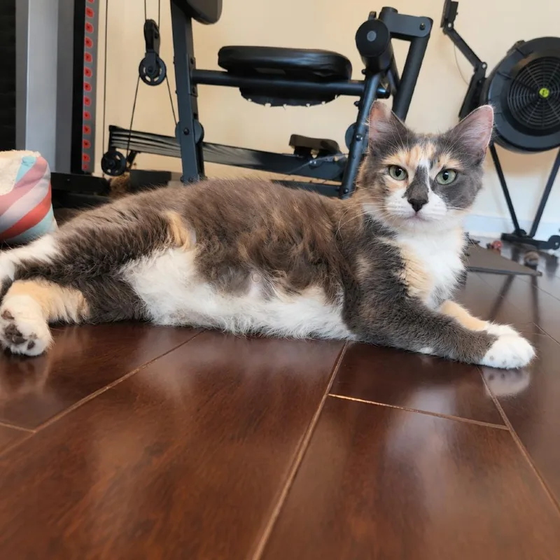 Ms Maisy thumbnail 3