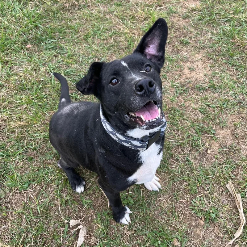 Zeke  Prison Training thumbnail 2