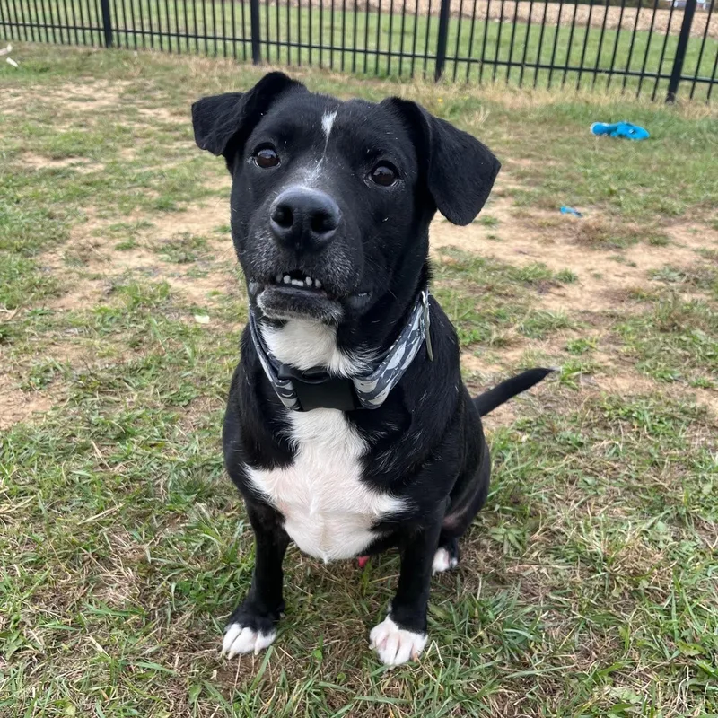 Zeke  Prison Training thumbnail 3