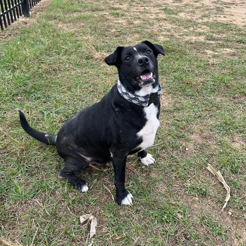 Zeke  Prison Training thumbnail 4