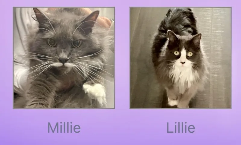 Lillie & Millie
