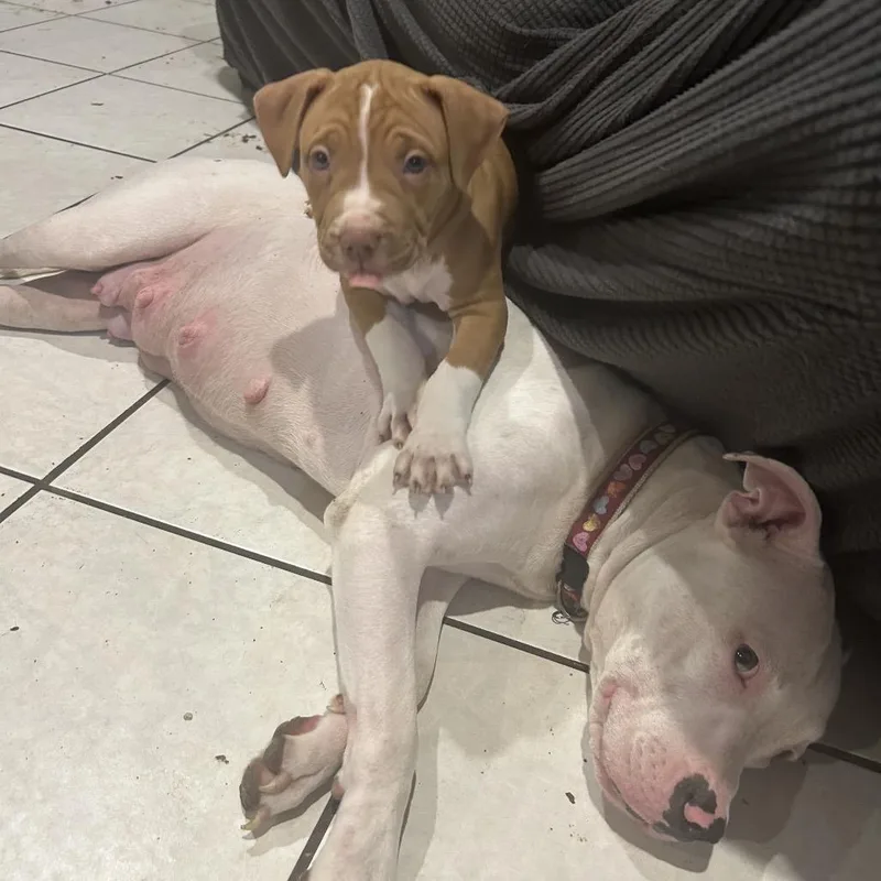 Daisy Lou thumbnail 3