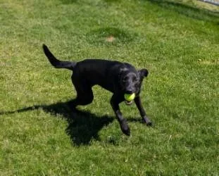 Maggie thumbnail 2