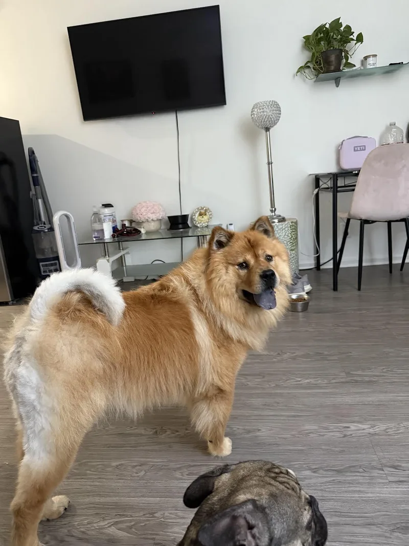 Deliliah thumbnail 2