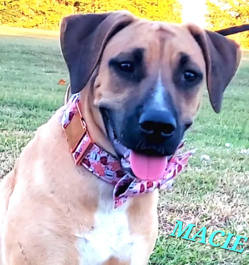Macie thumbnail 2