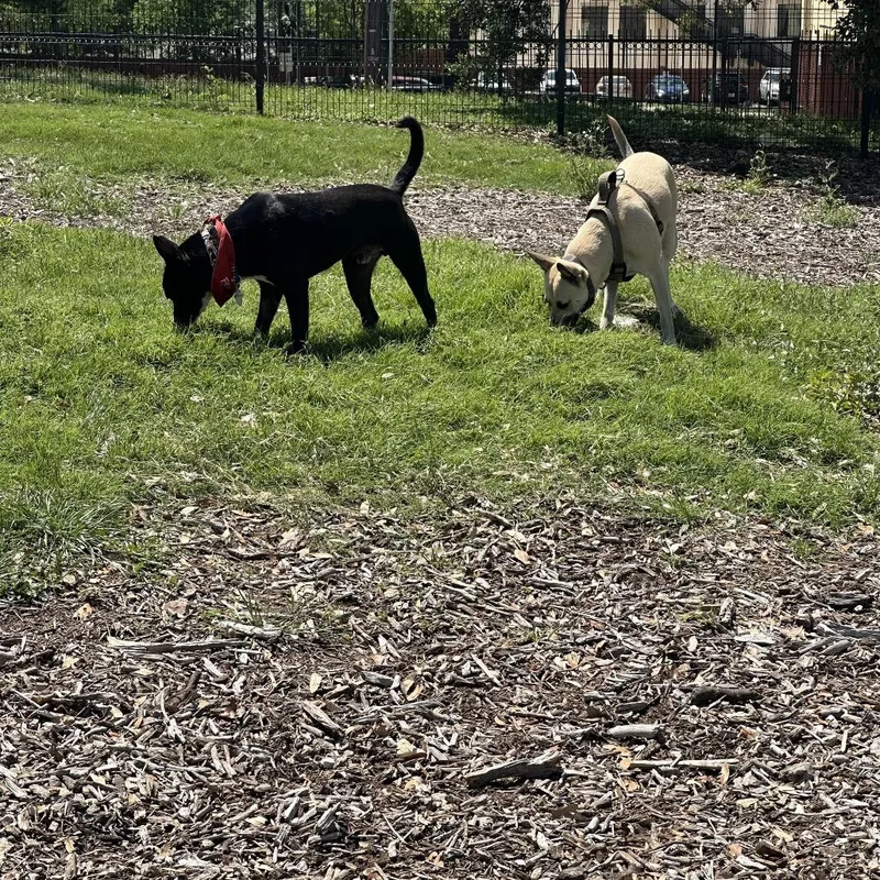 Guenther thumbnail 3