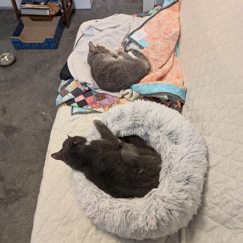 Big Edie thumbnail 2