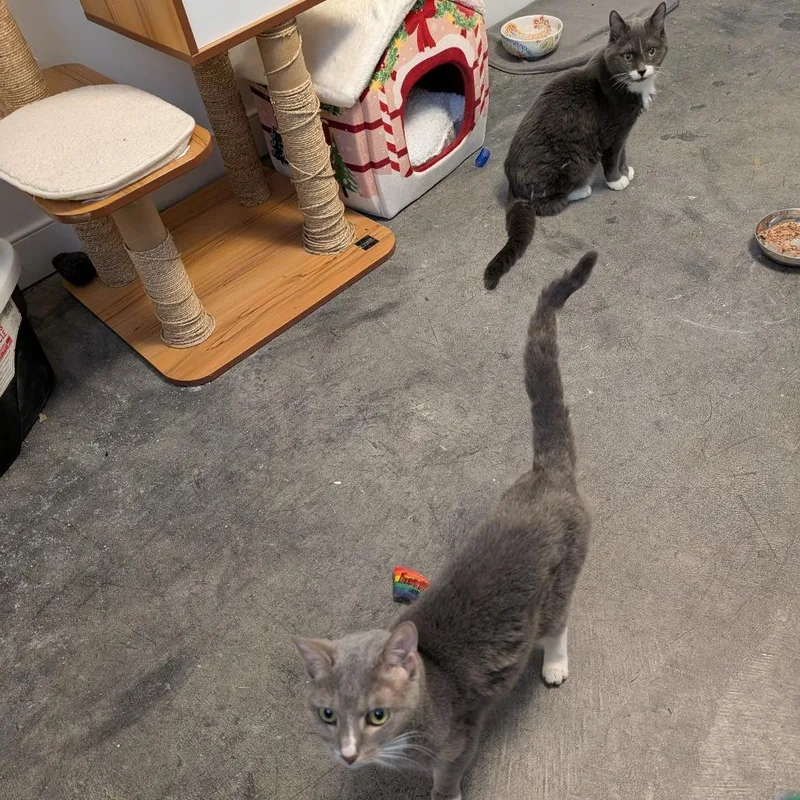 Big Edie thumbnail 3