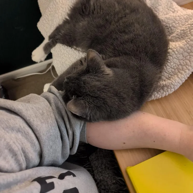 Big Edie thumbnail 4