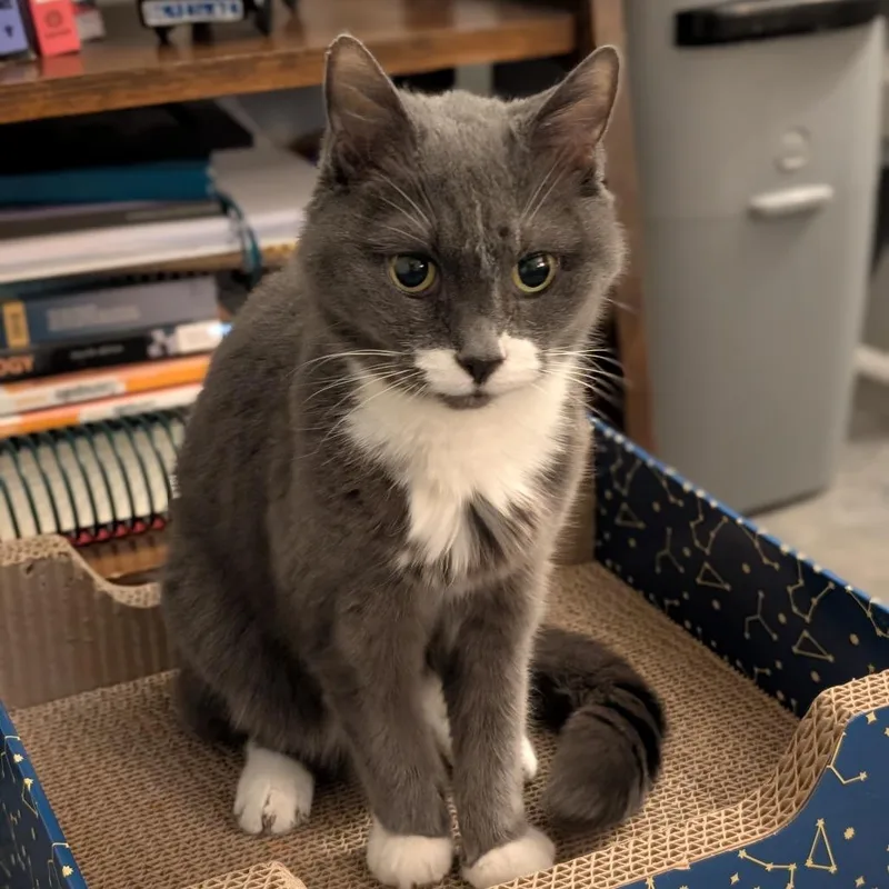 Big Edie thumbnail 6