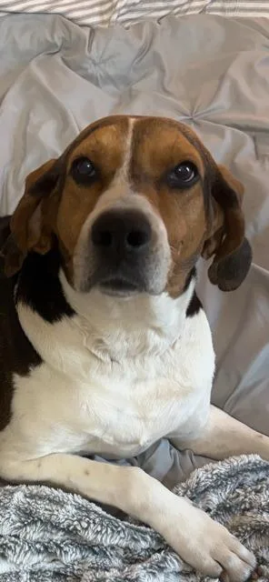 Sadie
