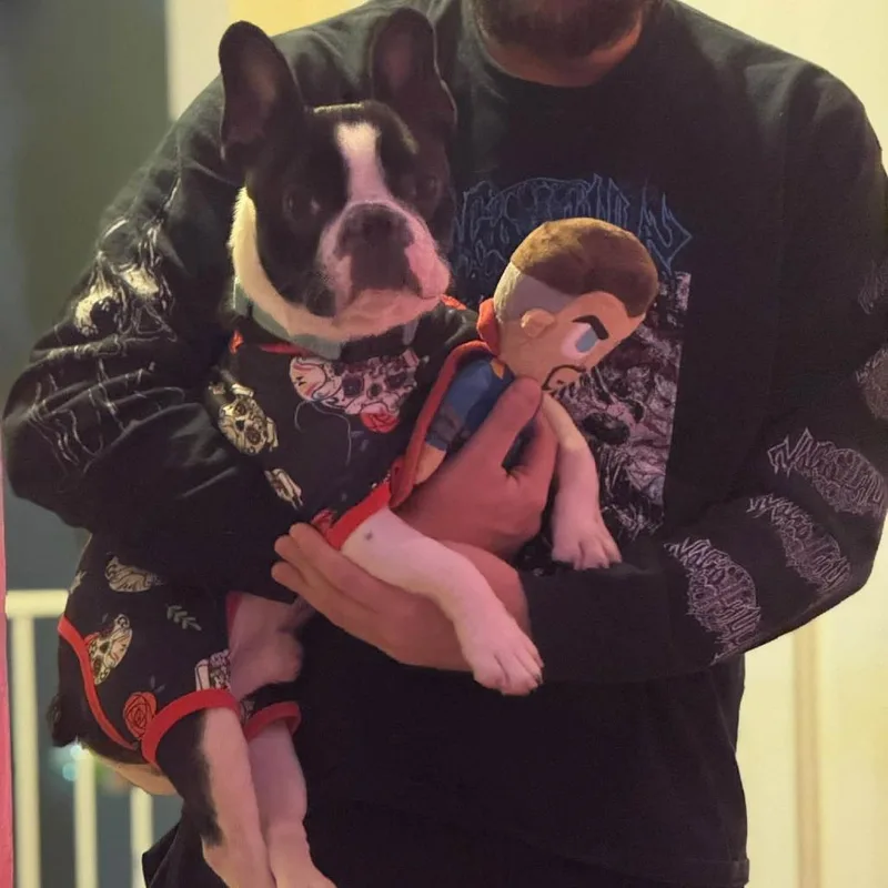 Frankie thumbnail 3
