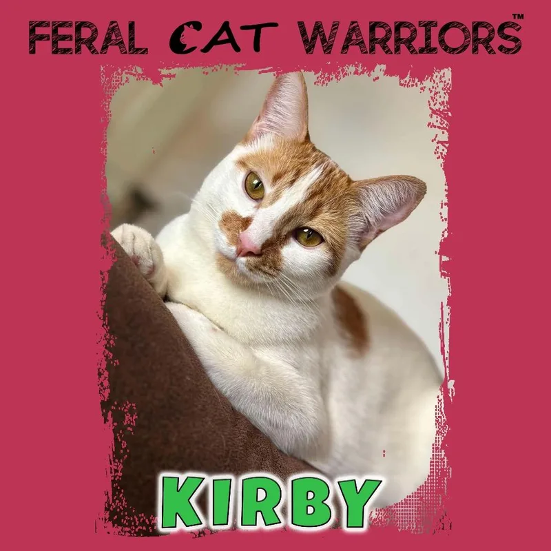 Kirby