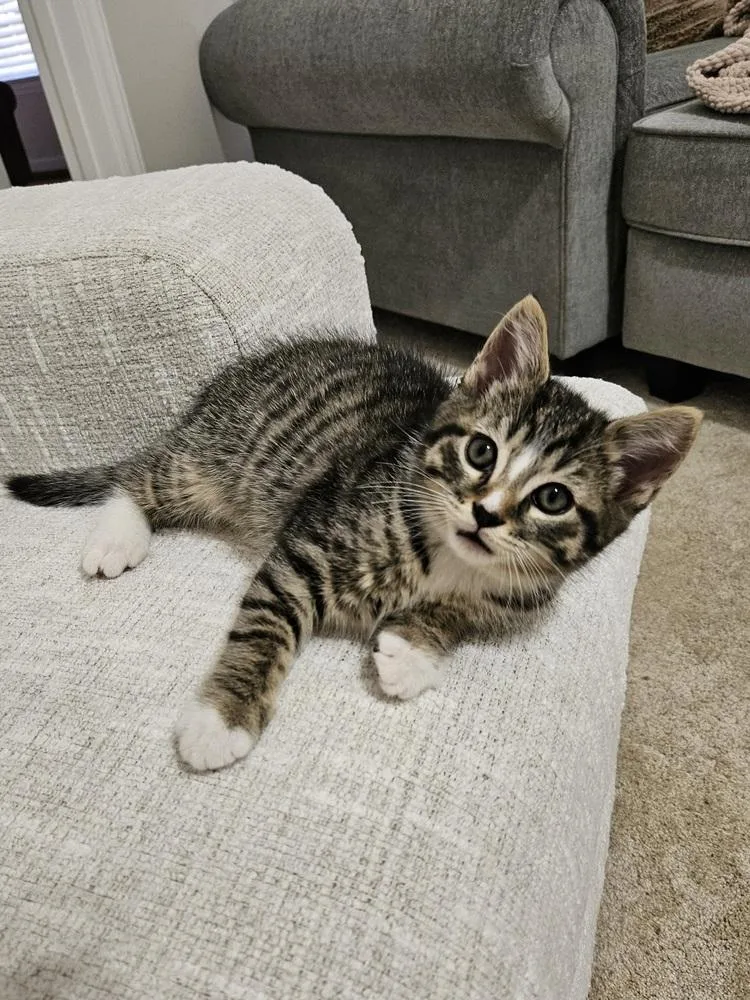 Howieready In August.