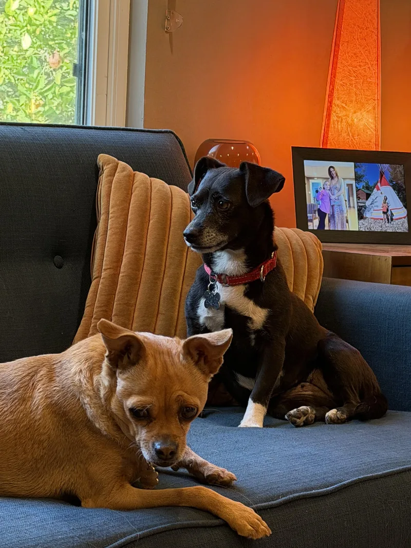 Pepper thumbnail 6