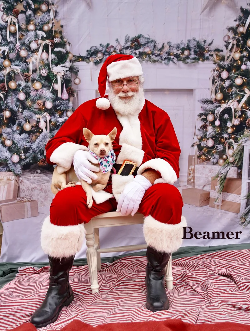 Beamer thumbnail 3