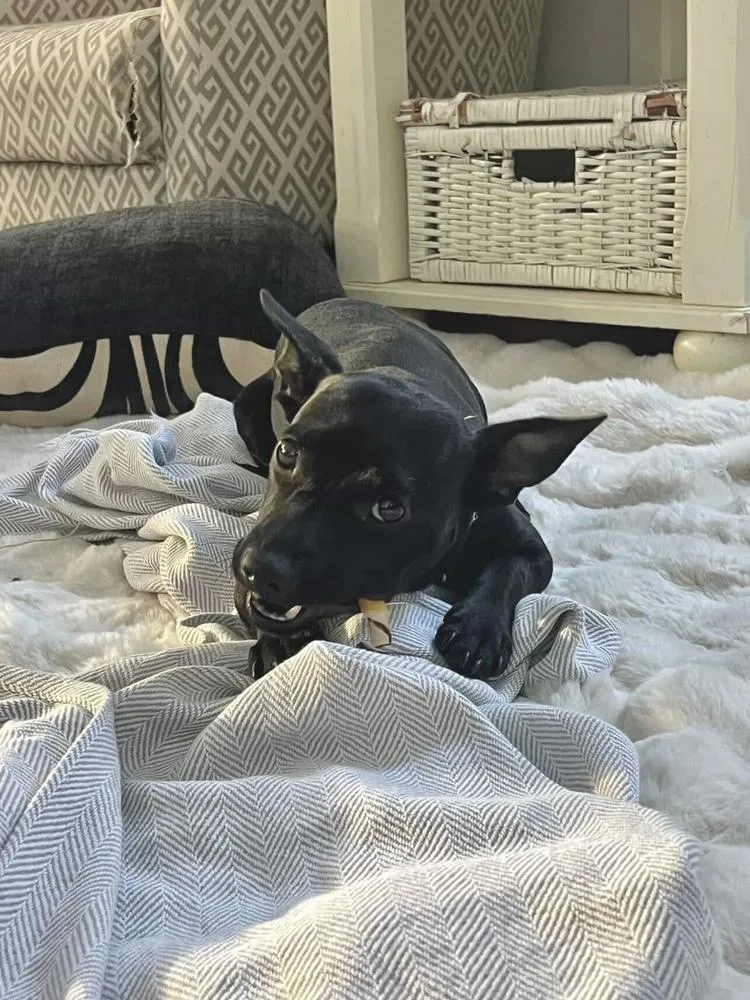 Ms. Oliver thumbnail 2