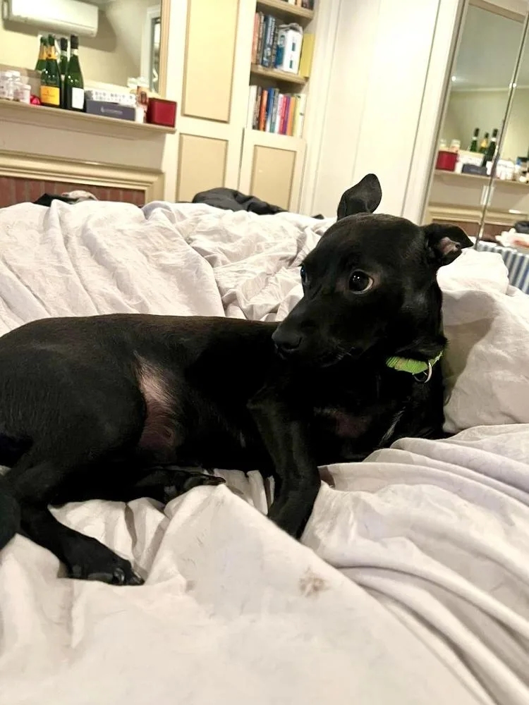 Ms. Oliver thumbnail 3