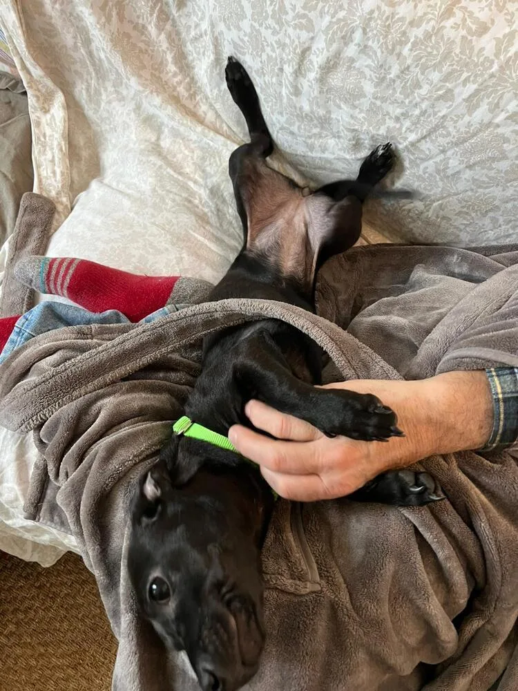 Ms. Oliver thumbnail 4