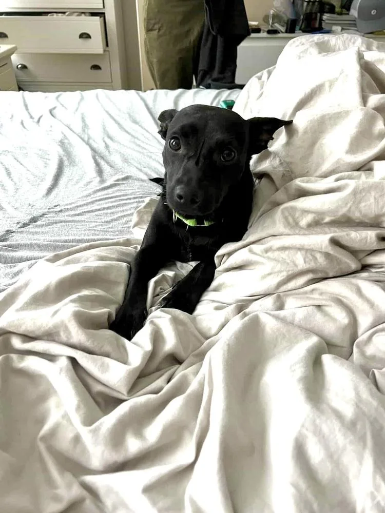 Ms. Oliver thumbnail 5