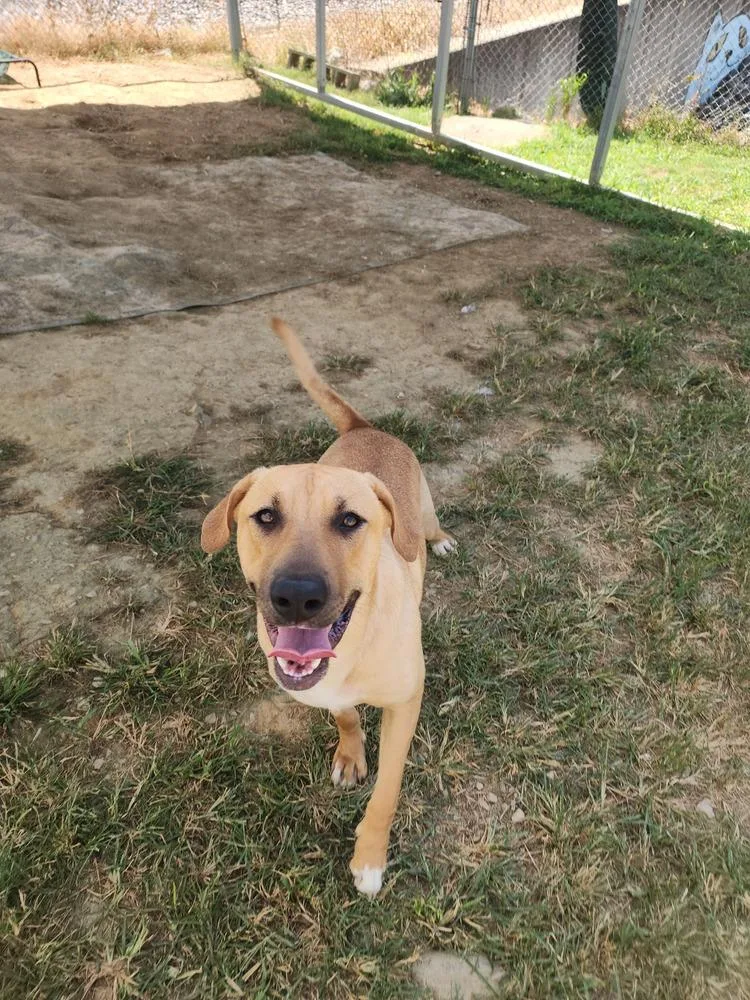 Jasmine Faye thumbnail 2