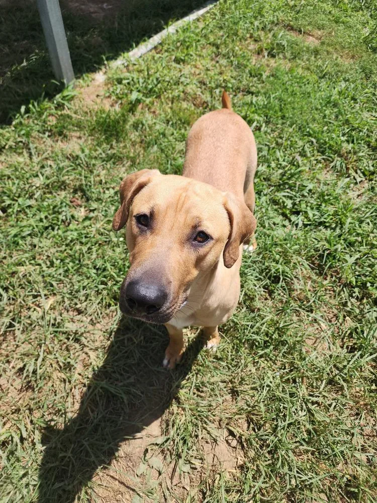 Jasmine Faye thumbnail 3