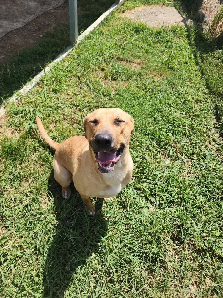 Jasmine Faye thumbnail 5