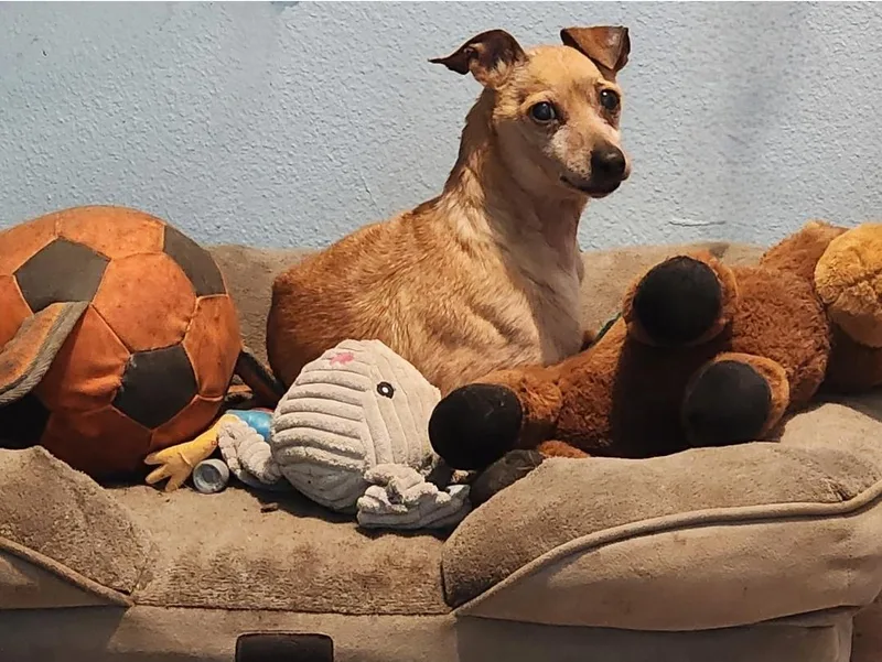 Walter thumbnail 2