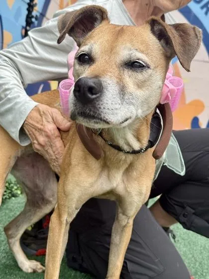 Supernova thumbnail 2