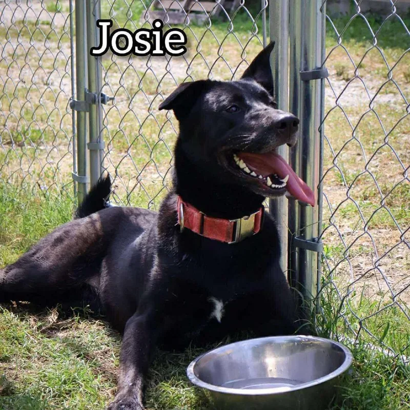 Josie