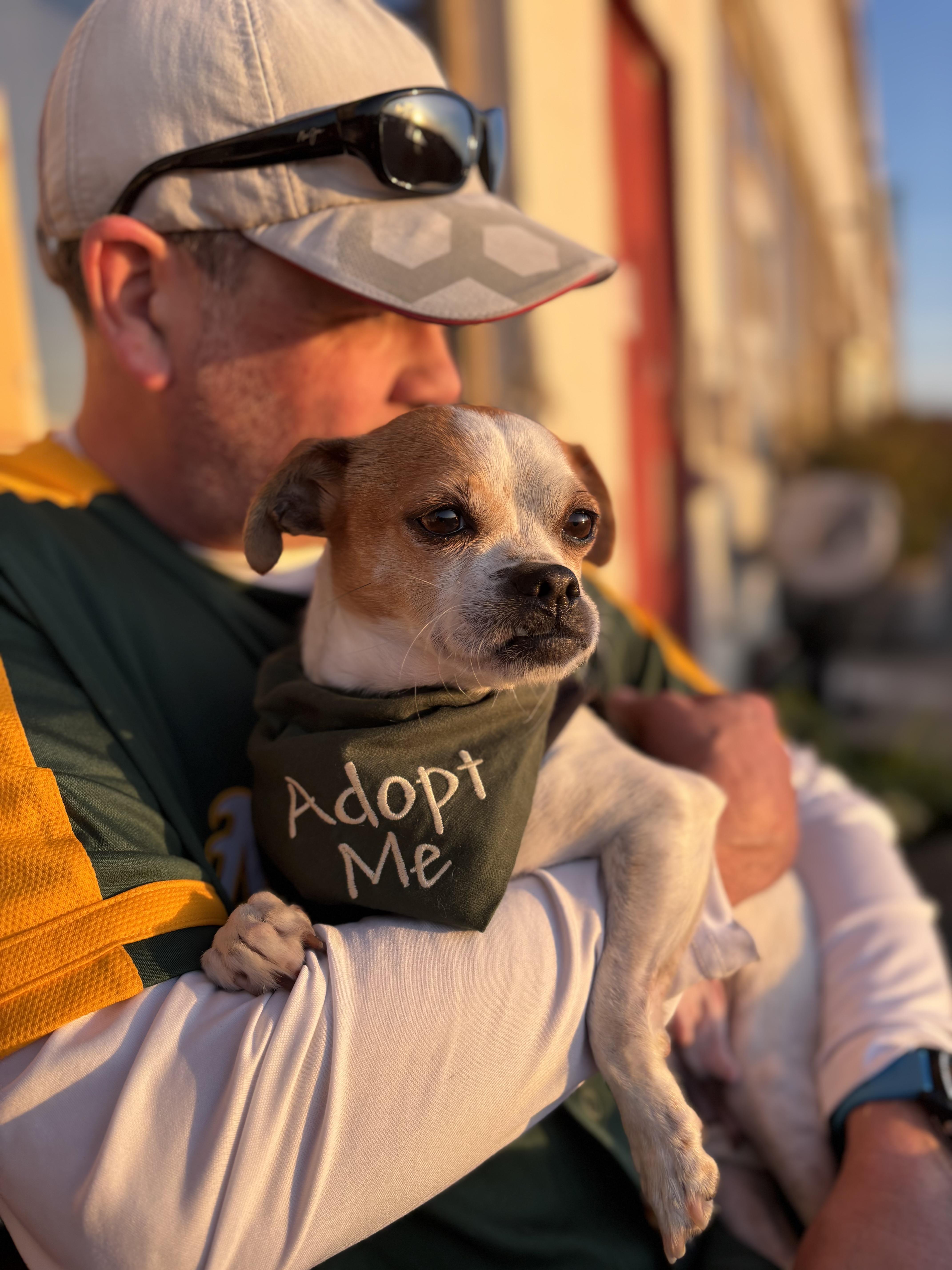 Emmy Lou thumbnail 2