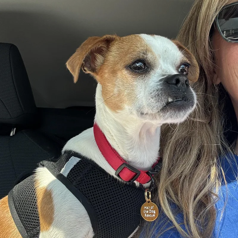 Emmy Lou thumbnail 3