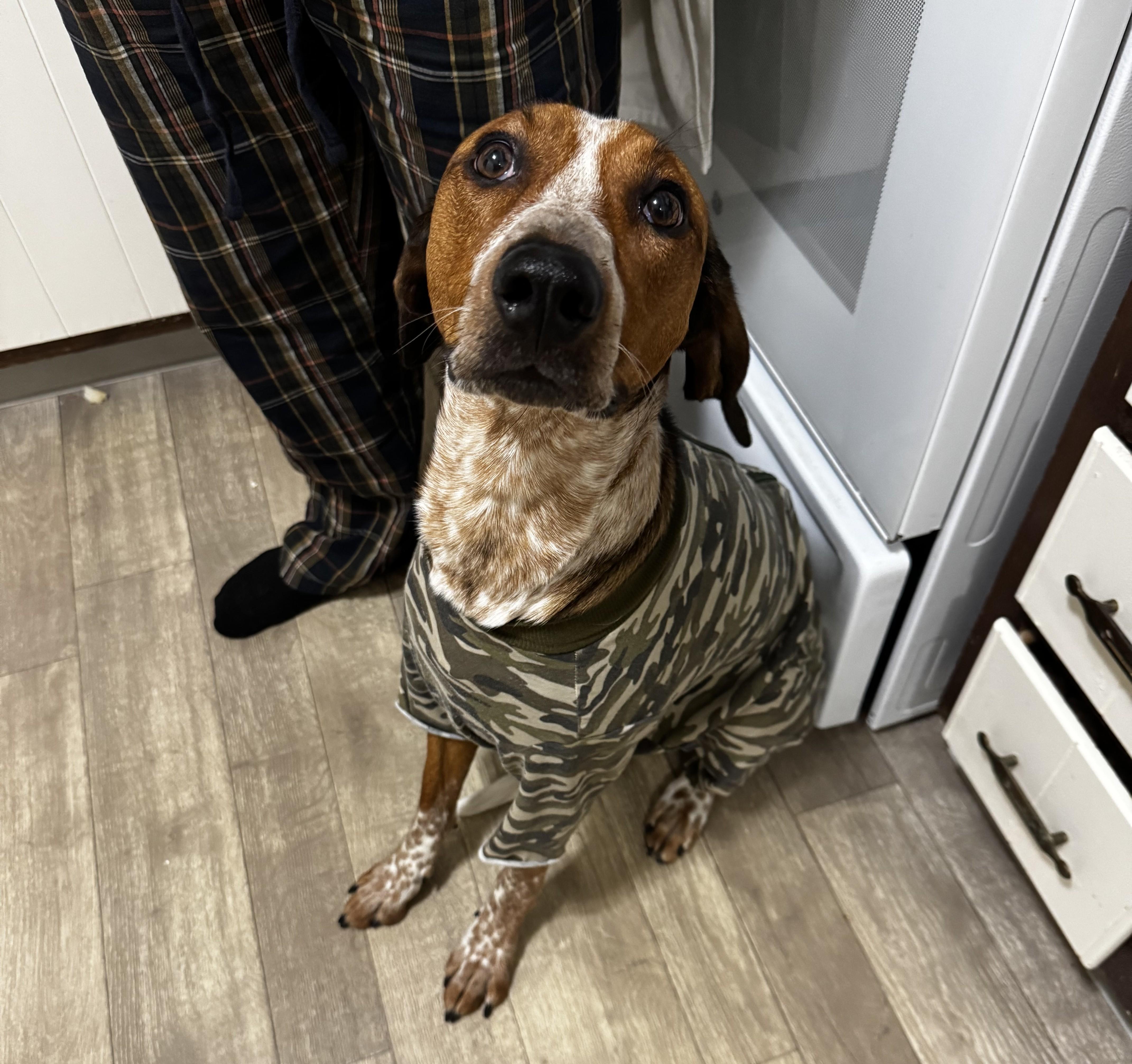 Phoebe Courtesy Listed thumbnail 2