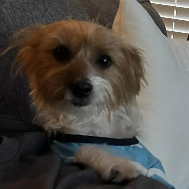 Oliver James thumbnail 2