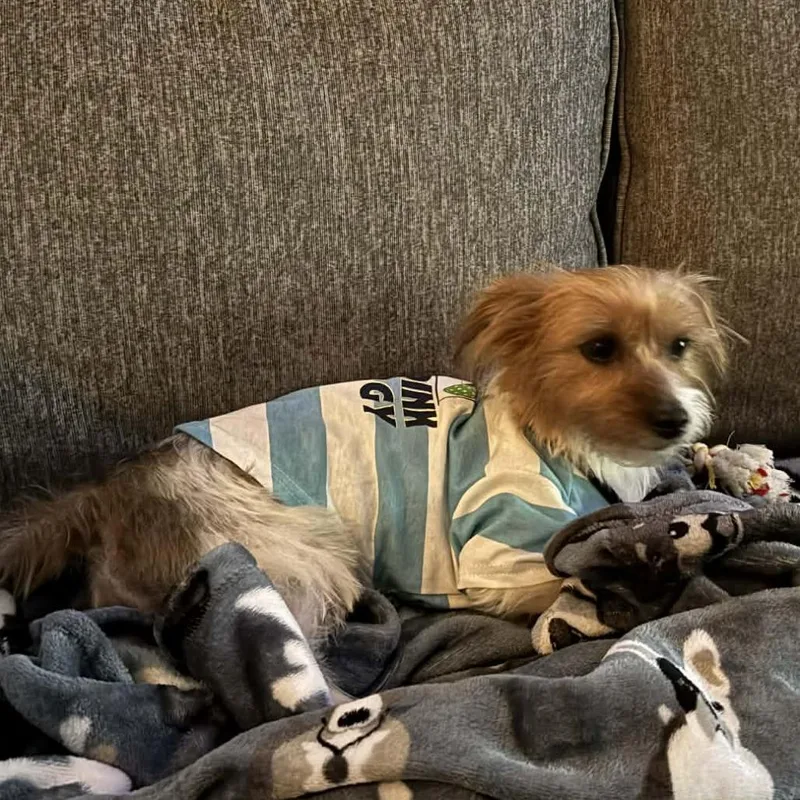 Oliver James thumbnail 3