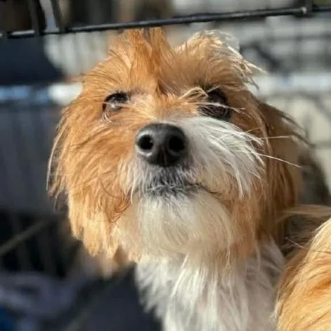 Oliver James thumbnail 4