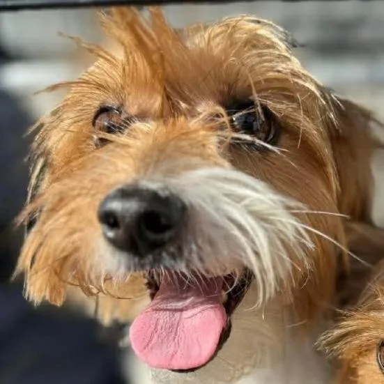 Oliver James thumbnail 5