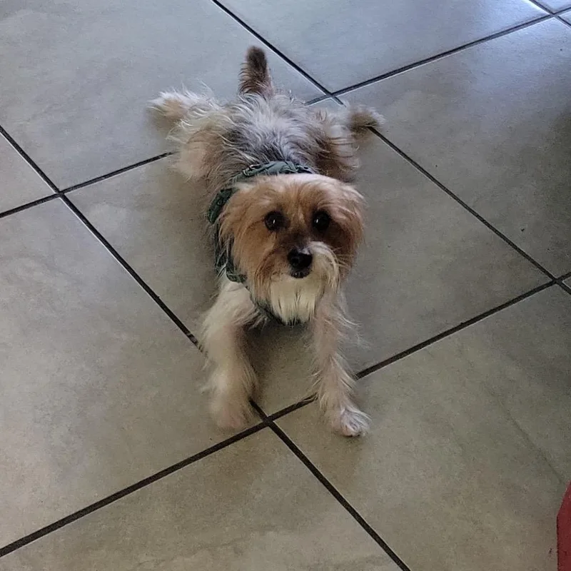 Oliver James thumbnail 6