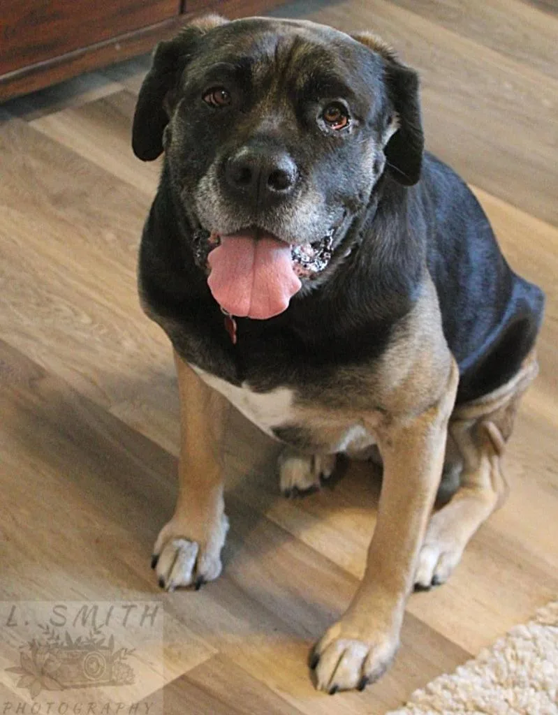 Molly Weasley thumbnail 3