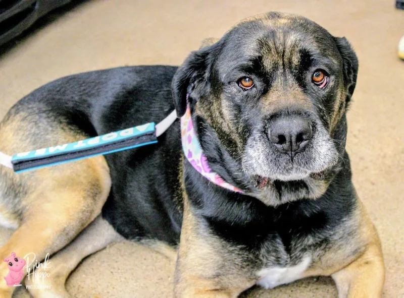 Molly Weasley thumbnail 4