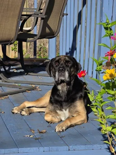 Molly Weasley thumbnail 5