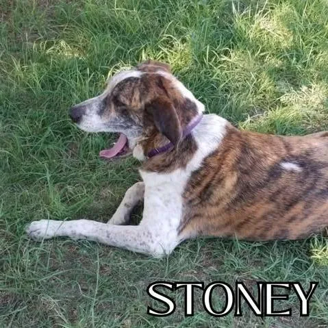 Stoney