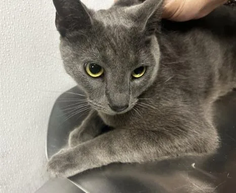 Paddington thumbnail 2